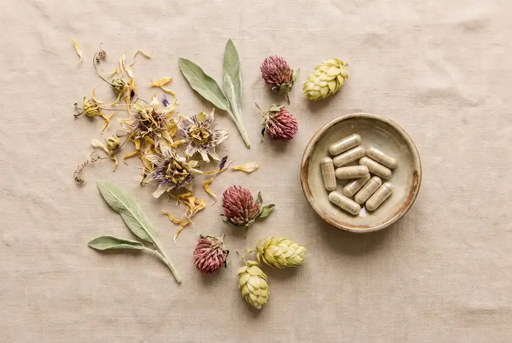 Flat lay of passion flower, sage, red clover and hops