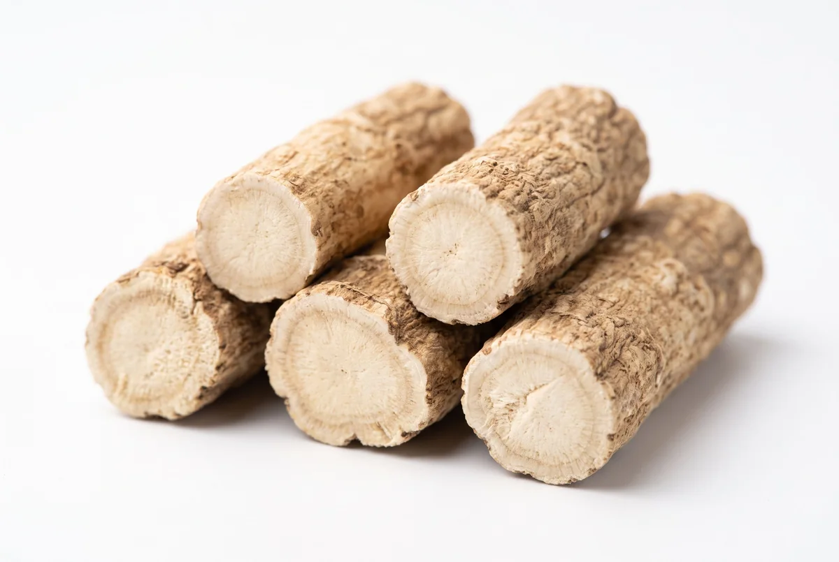 Clinical specimen macro of dried Angelica gigas root